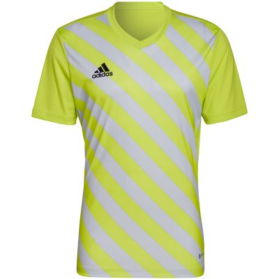 16. adidas Entrada 22 Graphic Jersey M HF0118