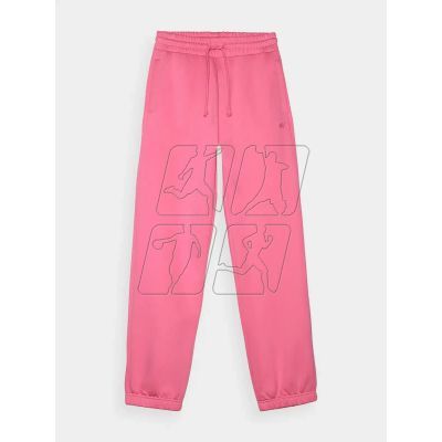 Trousers 4F W 4FWAW24TTROF0819-54S