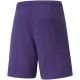 2. Puma teamRise Short Prist M 704942 10