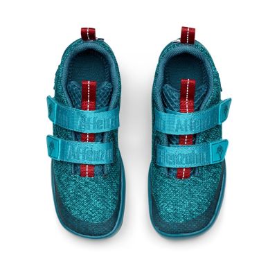 5. Affenzahn Sneaker Knit Happy Shark Jr 00397-30009 shoes