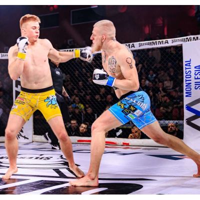 13. MMAsparring gloves S/M - Edge - Valor Series