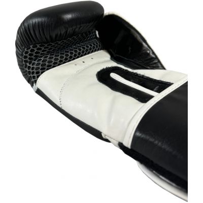 5. MASTERS RPU-TR 011112-12 boxing gloves