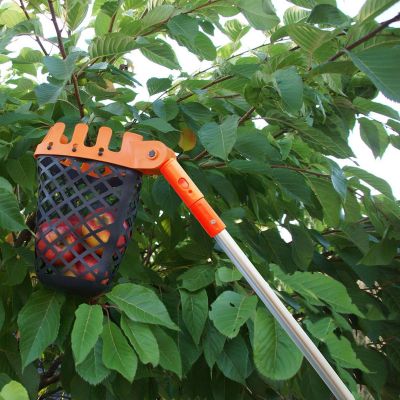 4. GARDEN FRUIT PICKER CLICK