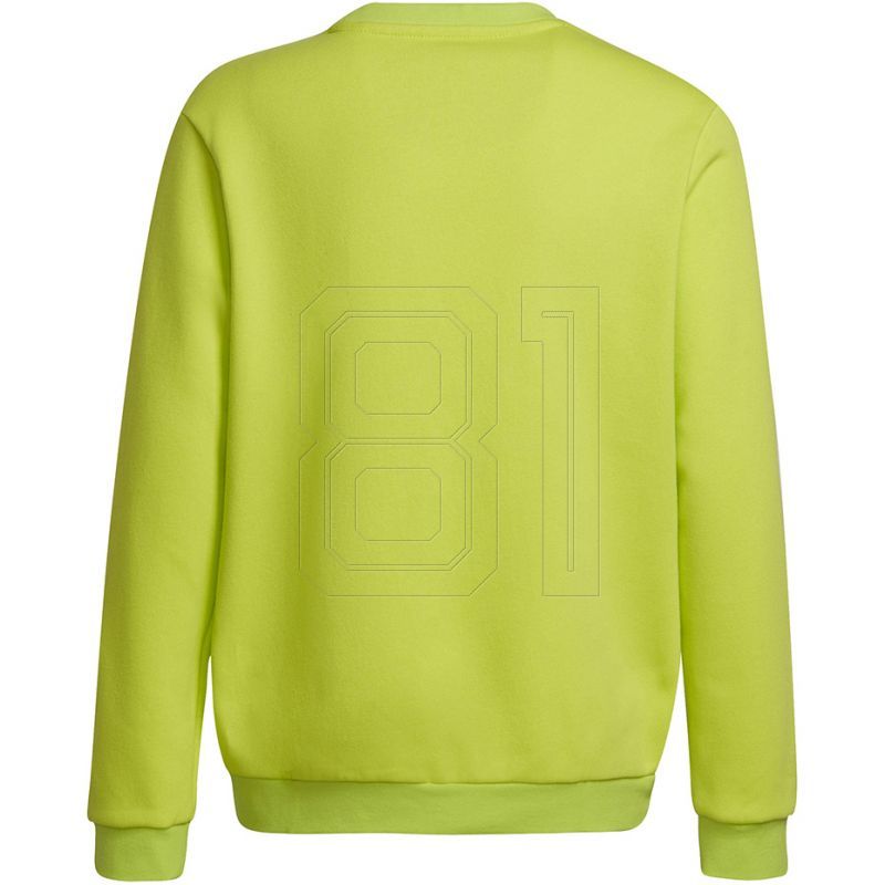 2. Sweatshirt adidas Entrada 22 Sweat Top Jr HC5043