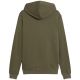 3. Men's Puma ESS 2 Color Small No. 1 Logo Hoodie olive 684719 81