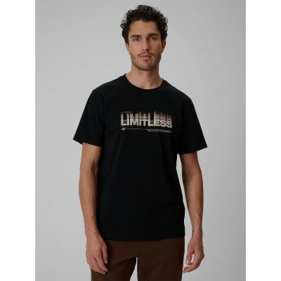 Men's regular printed T-shirt 4F 4FRSS26TTSHM4227-20S