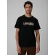 Men's regular printed T-shirt 4F 4FRSS26TTSHM4227-20S