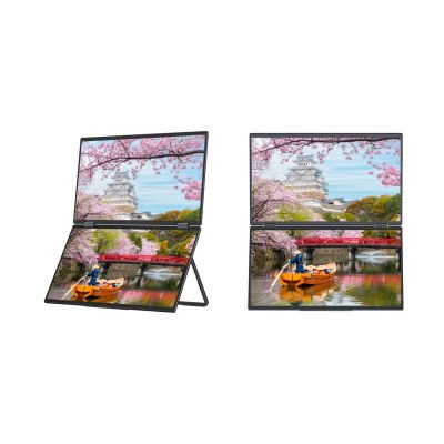 3. JAPANNEXT 39.6 cm JN-DMD-IPS156F Dual FHD Monitor