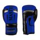 3. MASTERS RPU-FT 011123-0210 Boxing Gloves