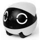 8. Enabot Rola Mini Companion companion robot