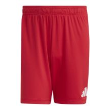 adidas Entrada 26 JZ2517 shorts