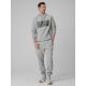 6. Men's regular hooded sweatshirt 4F 4FRSS26TSWSM2975-20S