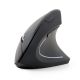 GEMBIRD MUSW-ERGO-01 mouse (optical; 1600 DPI; black)