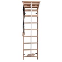 LADDER WITH WOODEN BAR AND ACCESSORIES BENCHK 112+A204