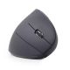 13. GEMBIRD MUSW-ERGO-01 mouse (optical; 1600 DPI; black)