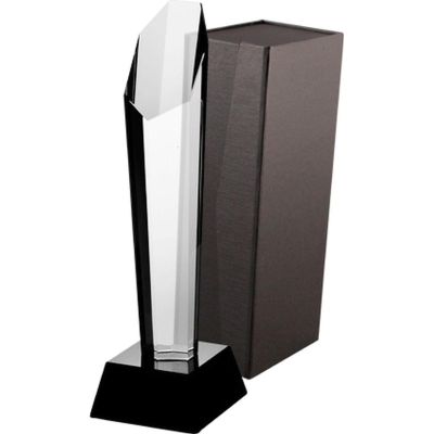 7. Glass trophy with case