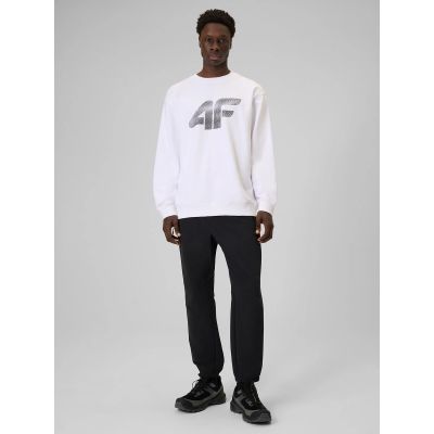 5. Men's sweatshirt without zipper and hood 4F 4FRAW25TSWSM2493-10S