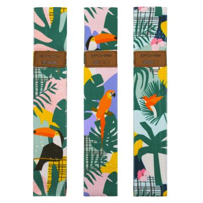 26. Spokey Home Jungle SPK-941536 Training Band Set
