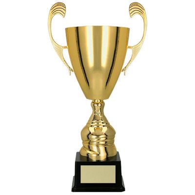 5. Gold metal cup TM