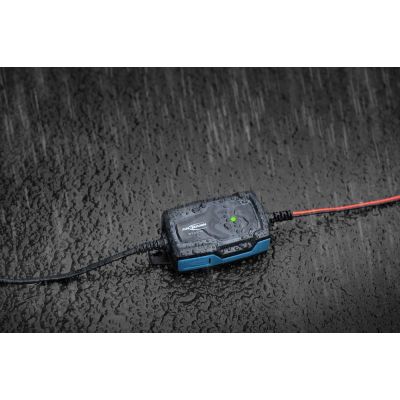 10. Ansmann 1001-0142 Vehicle Charger 6 - 12 V Black