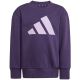3. Kids' adidas Essentials Joggers purple tracksuit JW2439
