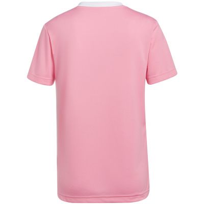 7. adidas Entrada 22 Jersey W HC5075