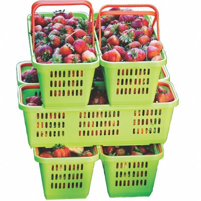 7. OPENWORK PLASTIC BASKET FOR FRUIT AND VEGETABLES WITH HANDLE