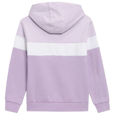 2. Sweatshirt 4F Jr HJL22 JBLD002 51S