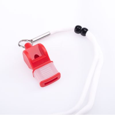 3. Whistle SWIST