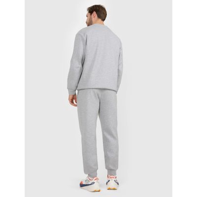 3. Men's jogger sweatpants 4F 4FRAW25TTROM1832-27M