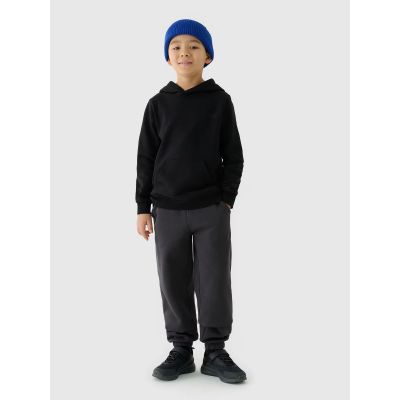 2. Boy's sweatshirt with hood, open, 4F Junior 4FJWMM00TSWSM1292-20S
