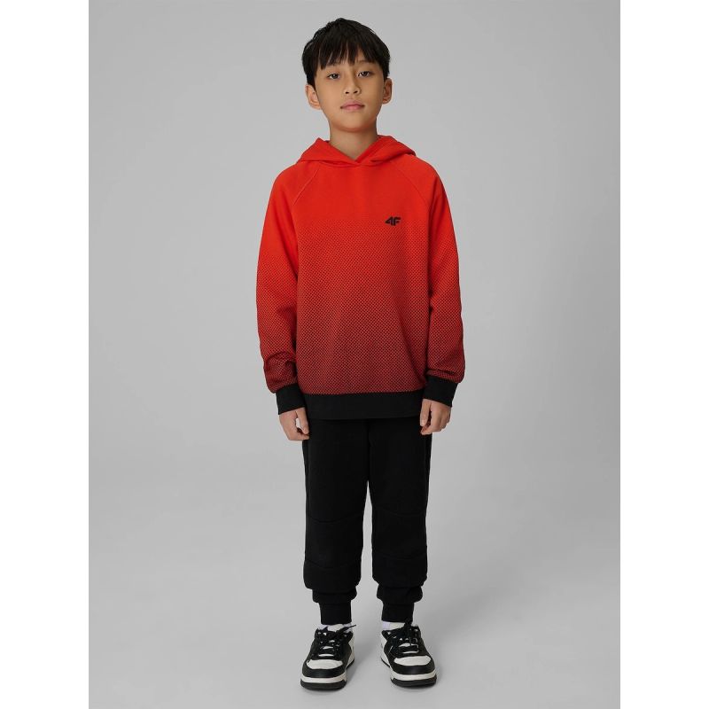 9. Boy's hoodie with all-over print 4F 4FJWAW26TSWSM2687-94A