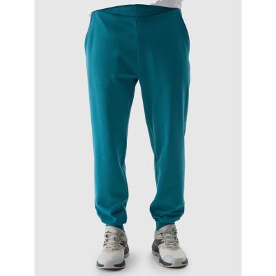 3. Trousers 4F M 4FWSS24TTROM603 46S