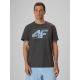 Men's regular printed T-shirt 4F 4FRSS26TTSHM4295-22S