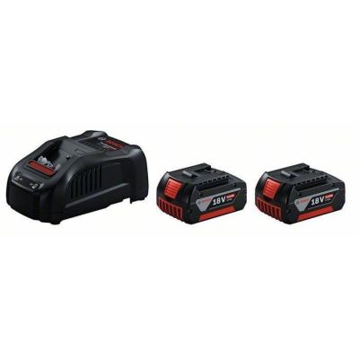 2. Bosch Starter-Set Battery