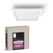 Philips Surimu Square Panel