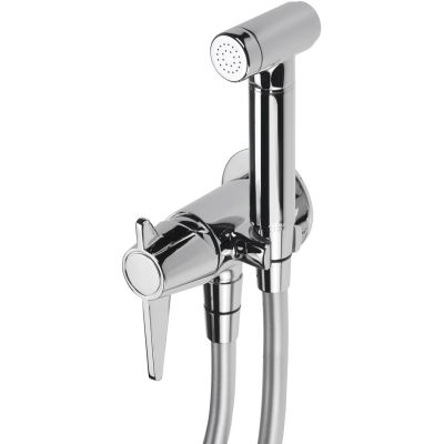 Concealed bidet tap with bidet shower head