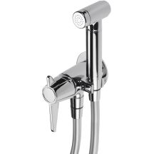 Concealed bidet tap with bidet shower head
