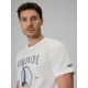 4. Men's regular printed T-shirt 4F 4FRSS26TTSHM3993-11S