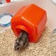 9. FERPLAST Combi 1 - hamster cage