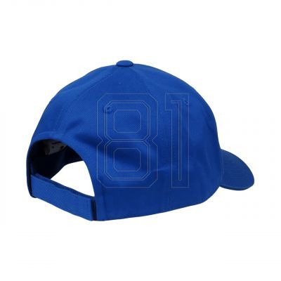 2. Champion Baseball Cap 802410 BS008