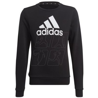 6. Sweatshirt adidas Big Logo Swt Jr IC6117