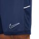 6. Nike Dri-Fit Academy 25 M FZ9776 410 Shorts