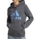 2. Sweatshirt adidas Big Logo FL R HD W IC9845