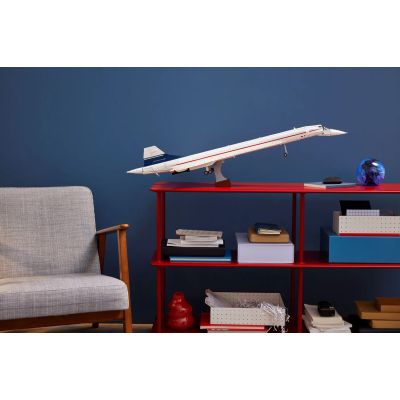 21. LEGO Icons 10318 Concorde