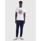 6. Men's regular printed T-shirt 4F 4FRAW25TTSHM3364-10S