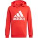 11. Adidas Essentials Big Logo Hoodie Jr GN4037 sweatshirt
