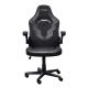 3. TRUST GXT703 RIYE GAMING CHAIR BLACK gaming chair (25128)