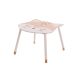 TABLE FOX174318