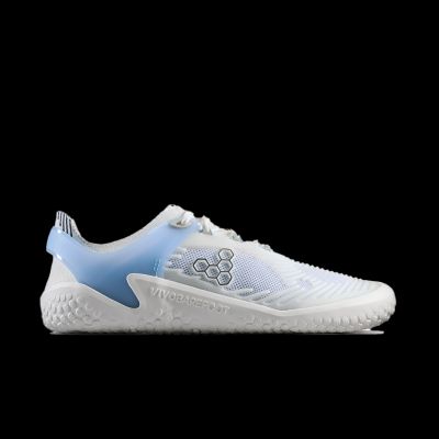 Vivobarefoot MOTUS STRENGTH II MENS SKYWAY barefoot shoes (309648-06)